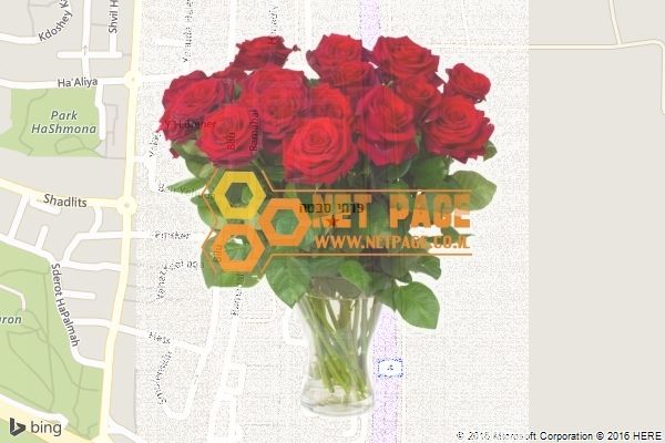 פרחי סבטה