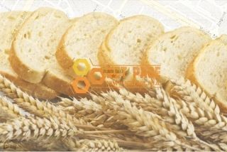לחם משנה