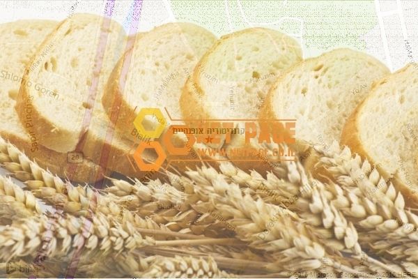 קונדיטוריה אופנהיים