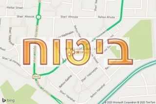 סוכן ביטוח בנעורים