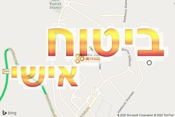 סוכן אישי בשמיר