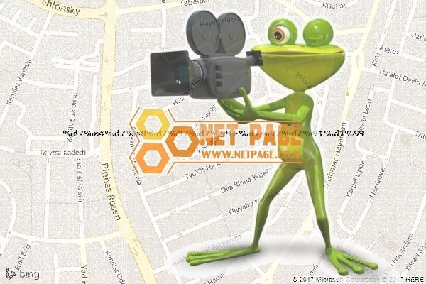 פרחי גבי