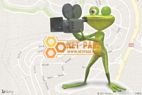דיגי אורן