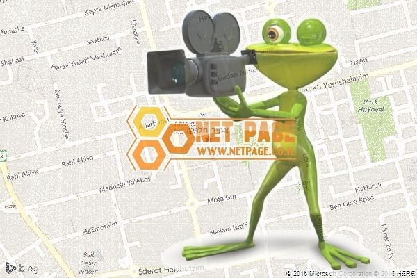 אמיר חלפון