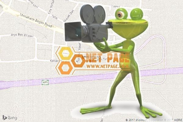 פרידמן חיים