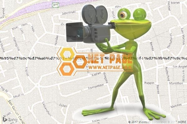 סולנג סלון כלות