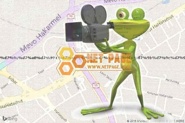 ולרי סלון כלות