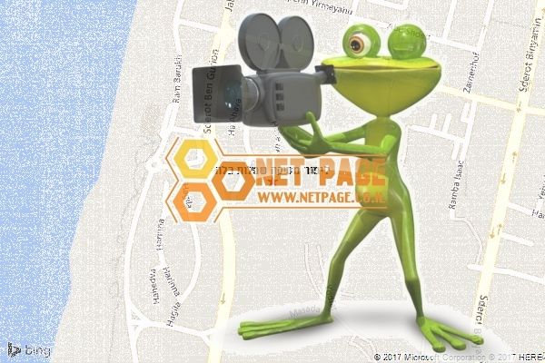 לימור מסיקה שמלות כלה