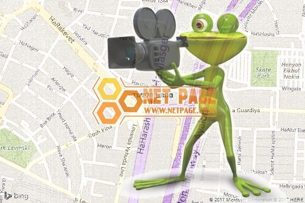 מועדון הליזארד