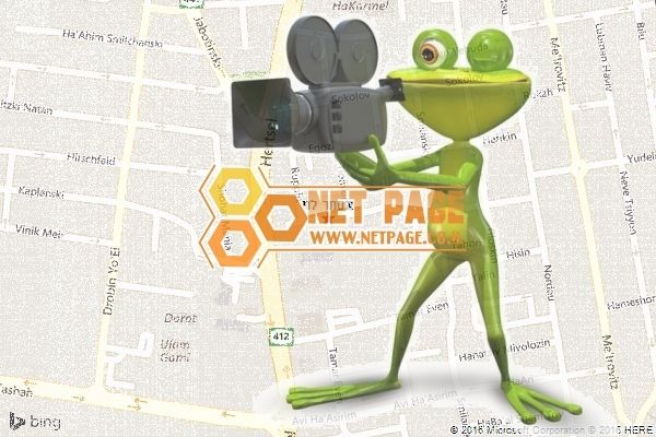 אסתר לוי